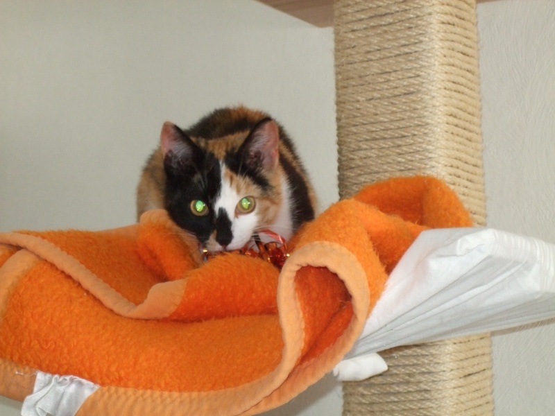 Ostern 2007 Orleshausen 121 